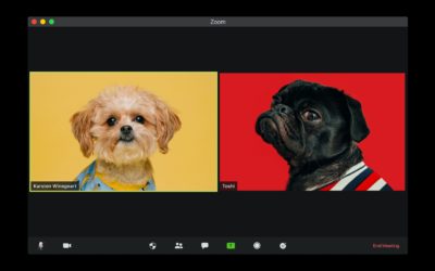 ZOOMing In: Is Psyche Alive Online?