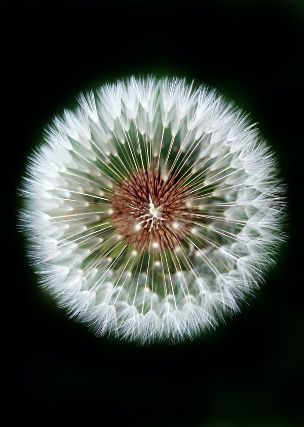 Bonus Episode – On Becoming a Jungian Analyst