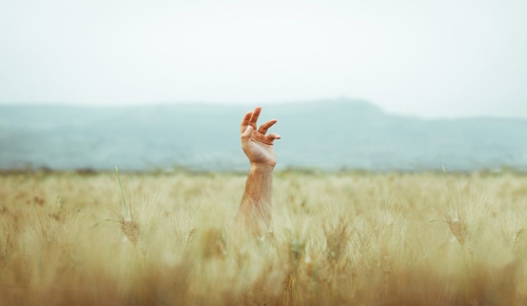 REVIVING OUR CAPACITY TO FEEL: the heart of Jung’s legacy