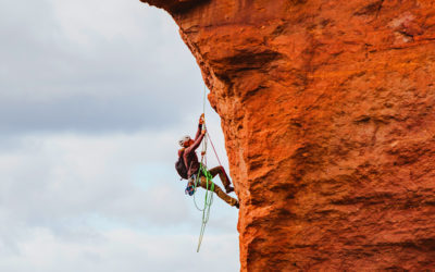 WILLPOWER: choice, energy & the power to achieve