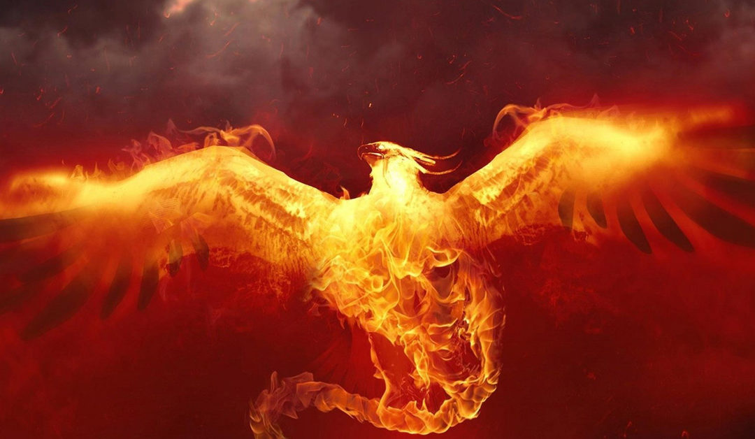 THE PHOENIX: learning to trust life