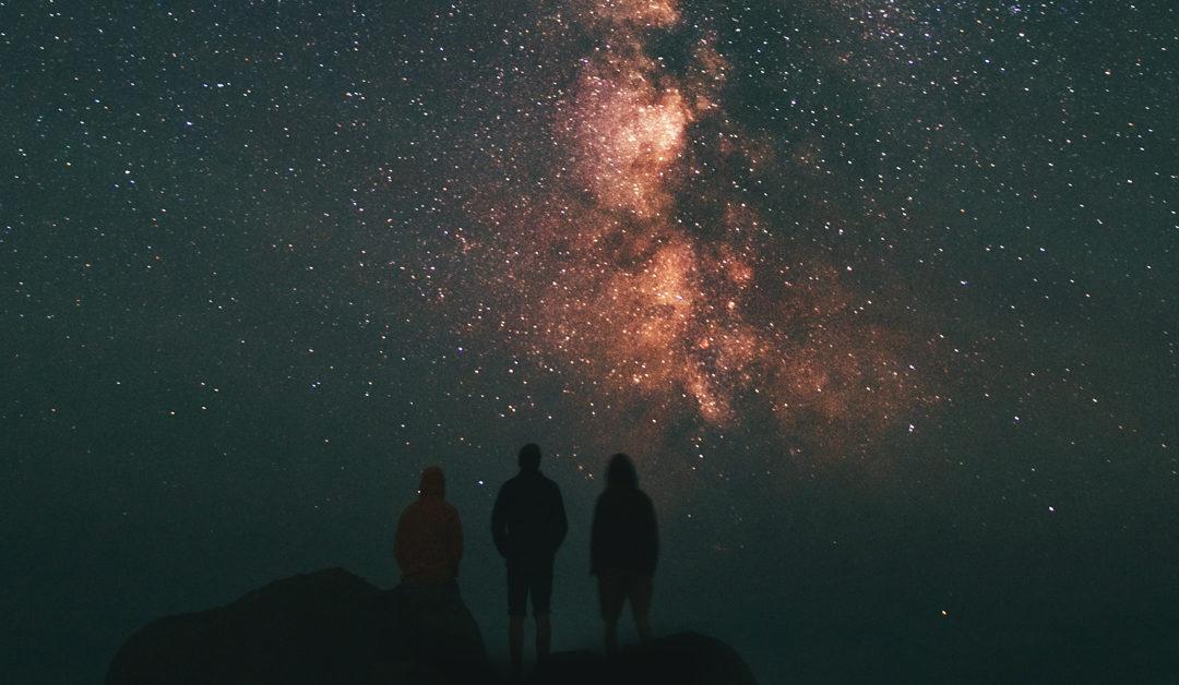 The Cosmic Meaning of Consciousness