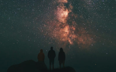 The Cosmic Meaning of Consciousness