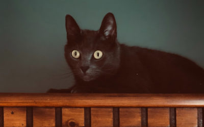 PAYING ATTENTION: What Are You Spending It On?