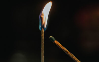 INFLUENCE: Connection or Contagion?