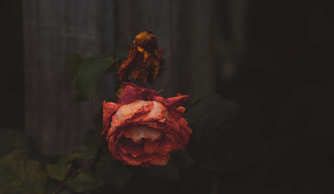 DEATH: A Jungian Perspective