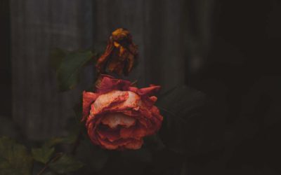 DEATH: A Jungian Perspective