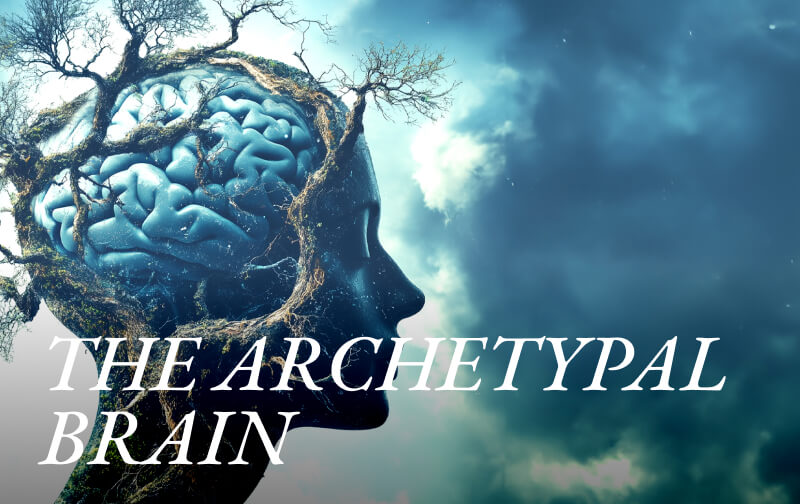 The Archetypal Brain: Jung from an Evolutionary Perspective